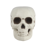 Декоративное украшение, Череп, 18*13,5*12 см, 1 шт., 6232122