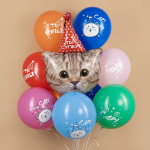 Шар (32''/81 см) Фигура, Котик в колпачке, 1 шт. в уп., 13492