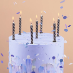 Свечи Полоски, Черный/Белый, 0,55*8 + 1 см, 12 шт. с держат., 630251