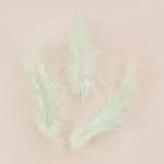 Перья, Премиум, Мятный, 12-15 см, 30 шт., 6015547