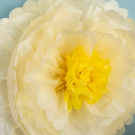 Цветок, Слоновая кость/Желтый (20''/51 см) 1 шт., 540158