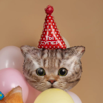 Шар (32''/81 см) Фигура, Котик в колпачке, 1 шт. в уп., 13492