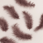 Перья, Премиум, Ретро Какао, 12-15 см, 30 шт., 6015545