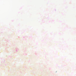 Конфетти дробленые Перламутр, Хамелеон, 20 г., 6014710