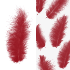 Перья, Премиум, Красный, 12-15 см, 30 шт., 6015502