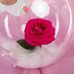 Шар (18''/46 см) Сфера, Deco Bubble (черная упаковка), широкий клапан, Прозрачный, Кристалл, 10 шт. , 5523182