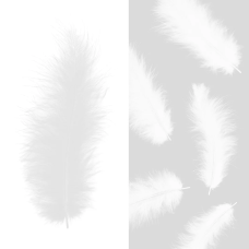 Перья, Премиум, Белый, 12-15 см, 30 шт., 6015506