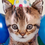 Шар (36''/91 см) Фигура, Котенок в колпаке, 1 шт. в уп., 25122-P