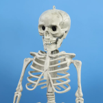 Декоративное украшение, Скелет, 40 см, 1 шт., 6232121