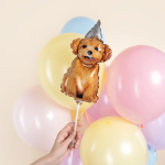 Шар с клапаном (17''/43 см) Мини-фигура, Песик в колпачке, 5 шт. в уп., 27147