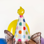 Шар (36''/91 см) Фигура, Котенок в колпаке, 1 шт. в уп., 25122-P