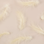 Перья, Премиум, Кремовый, 12-15 см, 30 шт., 6015542