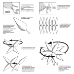 Шар 3D (41''/104 см) Звезда, Составная, Серебро, 1 шт. в уп., 222254
