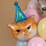 Шар (32''/81 см) Фигура, Котик в колпачке, 1 шт. в уп., 13491