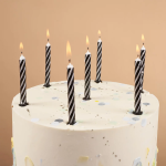 Свечи Полоски, Черный/Белый, 0,55*8 + 1 см, 12 шт. с держат., 630251