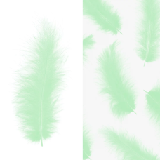 Перья, Премиум, Мятный, 12-15 см, 30 шт., 6015547