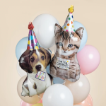 Шар (30''/76 см) Фигура, Котик в колпачке, 1 шт. в уп., 26677