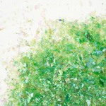 Конфетти дробленые Зеленый, Хамелеон, 20 г., 6232521